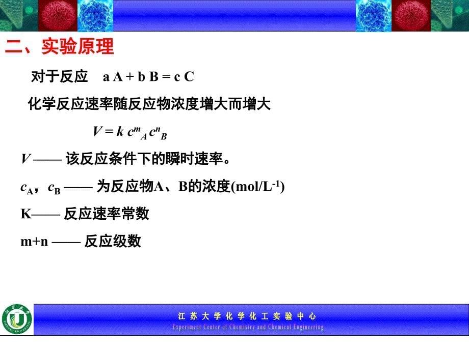 基础化学实验I_第5页