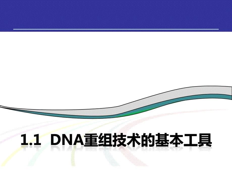 专题一 基因工程选修三DNA重组技术的基本,基因工程的基本操作程序,基因工程的应用,蛋白质工程的崛起_第5页