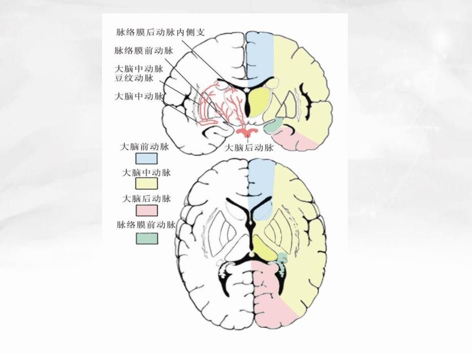 常见疾病病因与治疗方法脑出血2_第4页