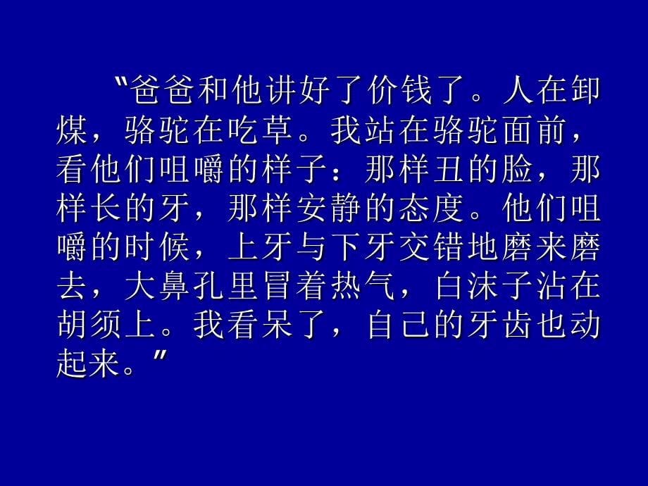 6冬阳童年骆驼队_第5页