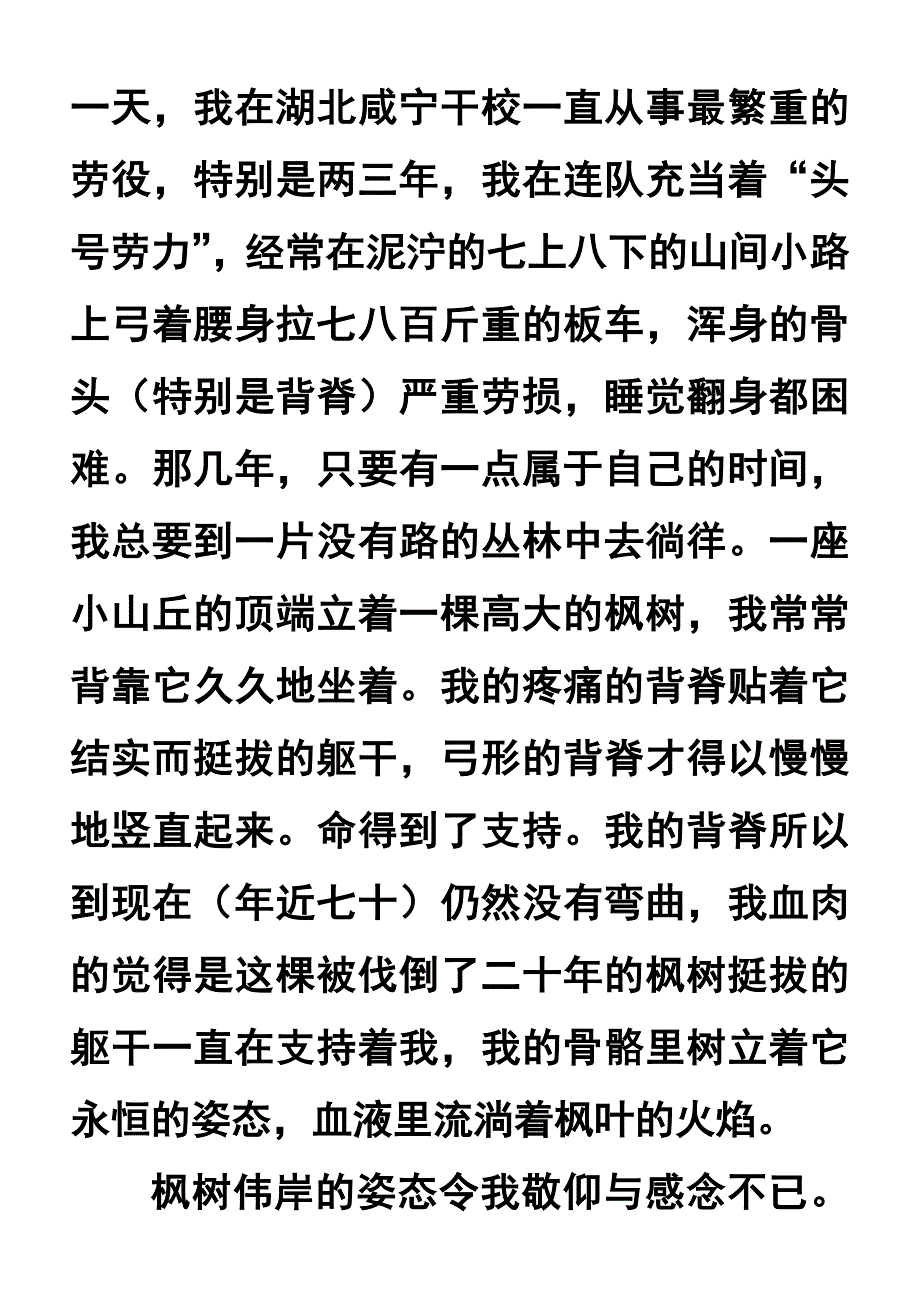 《悼念一棵枫树》课堂版.doc_第3页