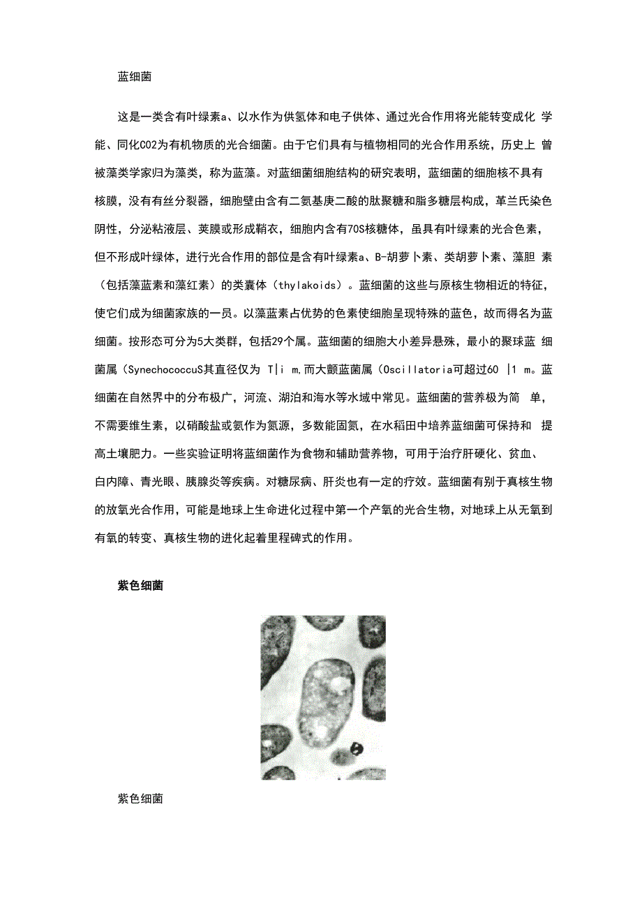 光合细菌介绍_第4页