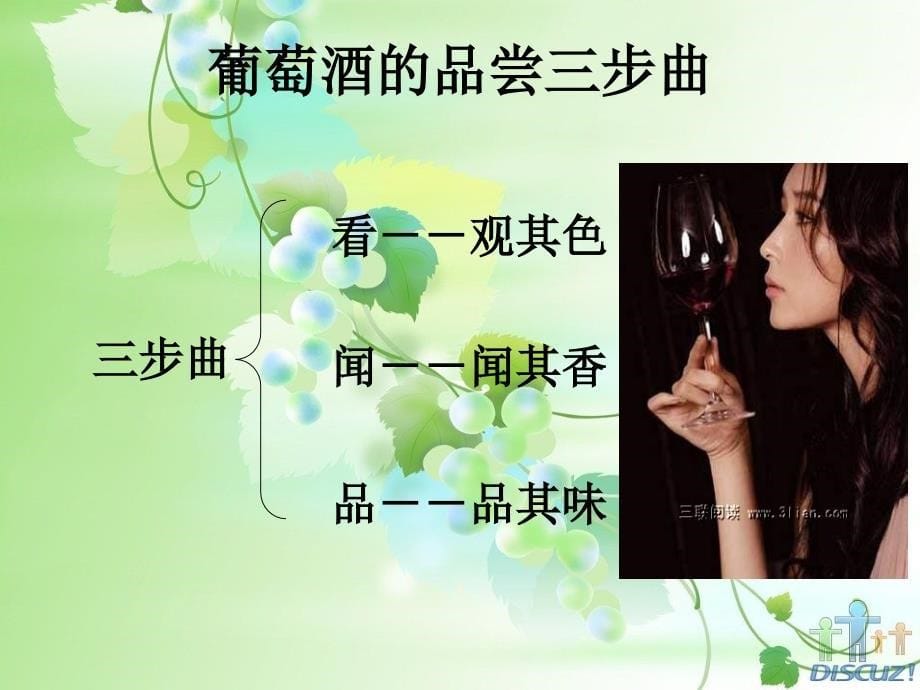 葡萄酒专业知识培训.ppt_第5页