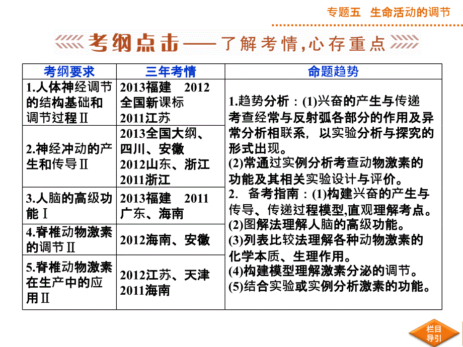 高考生物二轮专题复习课件：专题五第1讲人和动物生命活动的调节_第3页