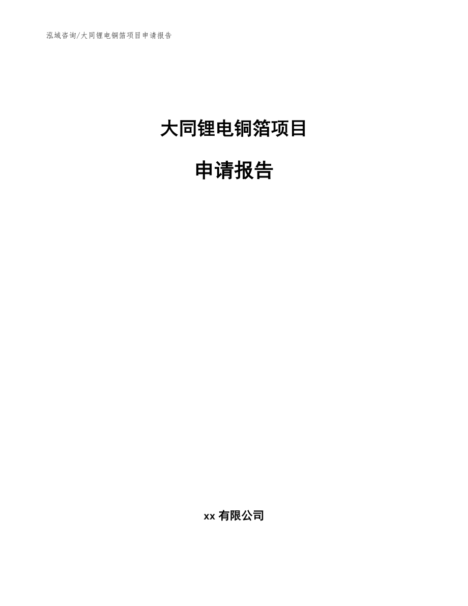 大同锂电铜箔项目申请报告【模板范本】_第1页