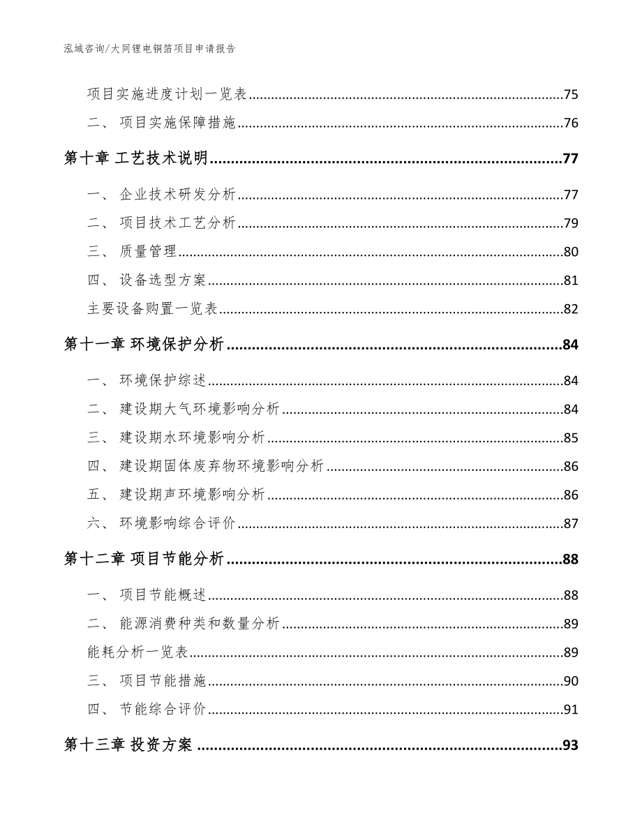 大同锂电铜箔项目申请报告【模板范本】_第4页