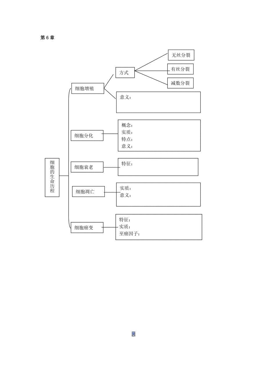 高一生物思维导图_第5页