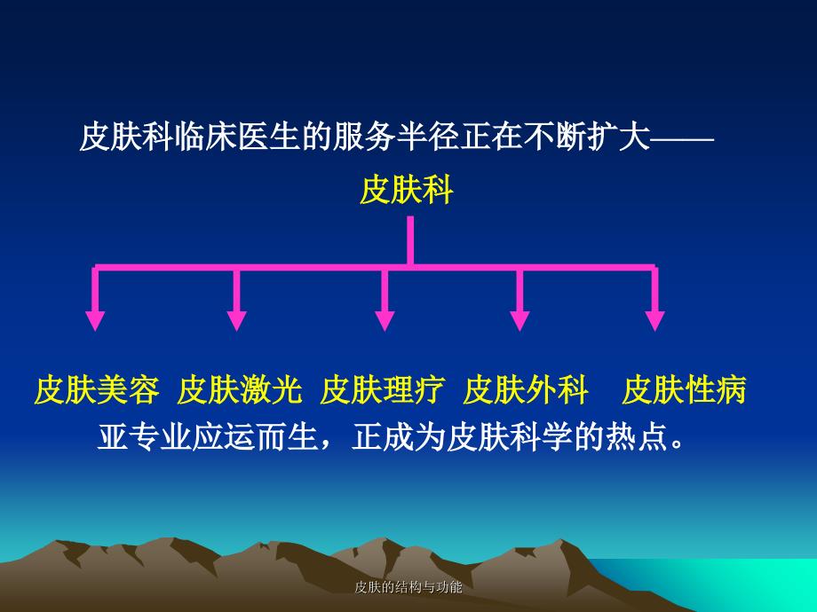 皮肤的结构与功能经典实用_第3页