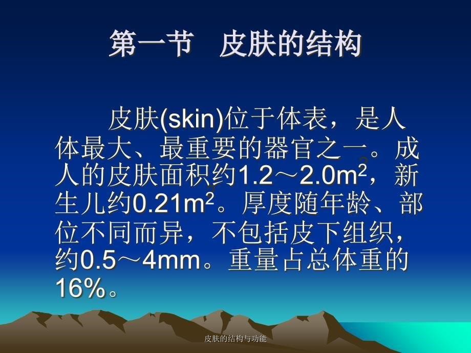 皮肤的结构与功能经典实用_第5页