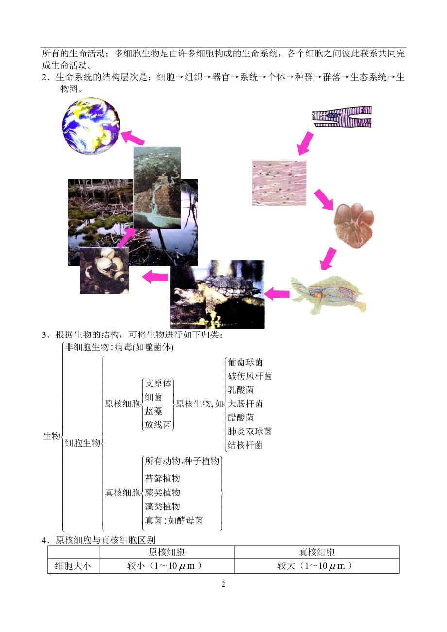 走近细胞教案.doc_第2页