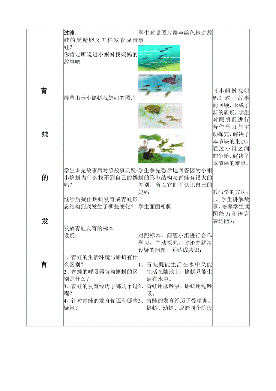 两栖动物的生殖发育_第3页