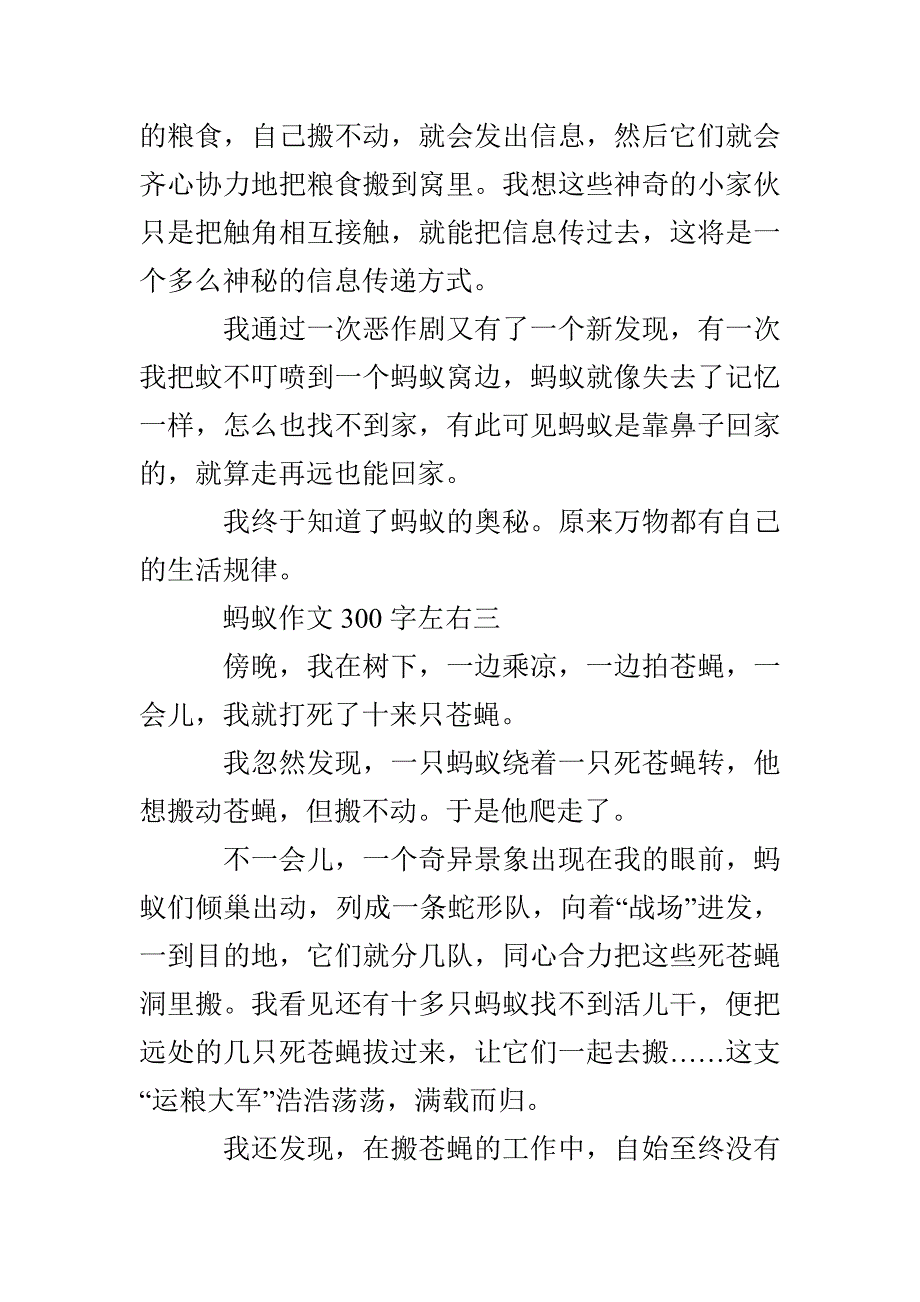 蚂蚁作文300字左右 有趣的蚂蚁作文300字_第3页