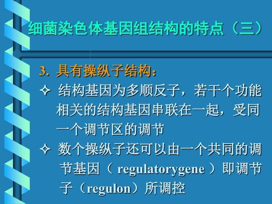 细菌基因组结构与功能_第5页