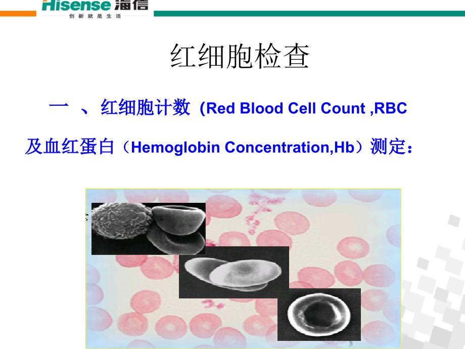 血常规检查及其意义_第3页