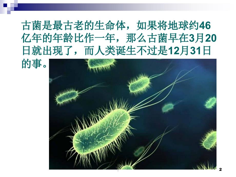 (医学文档)古菌ppt演示课件_第2页