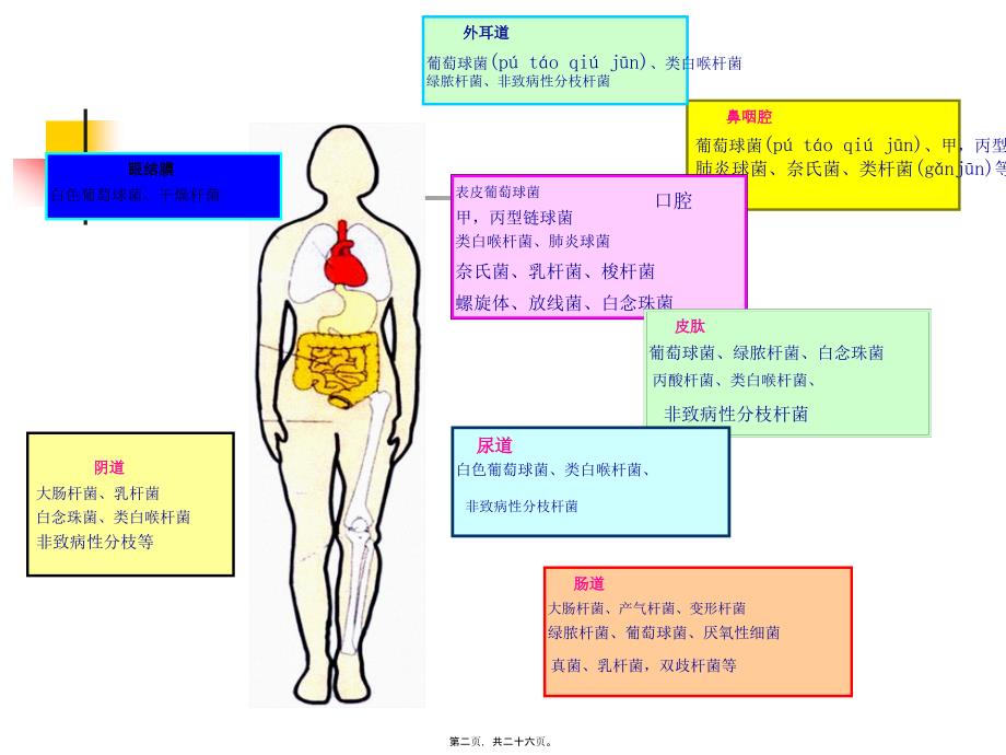 医学专题—第三节-消毒灭菌4969_第2页