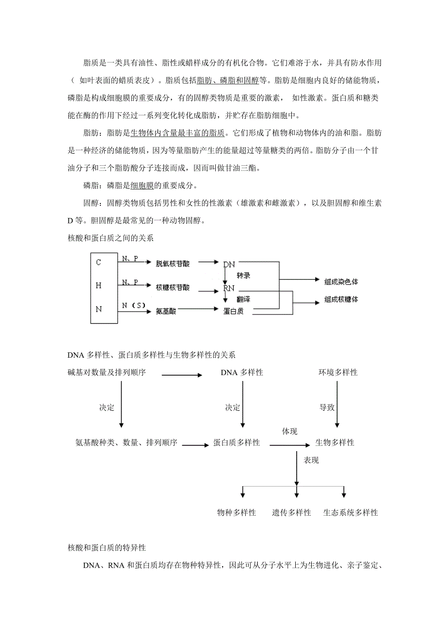 专题一细胞的分子组成与结构教案_第4页