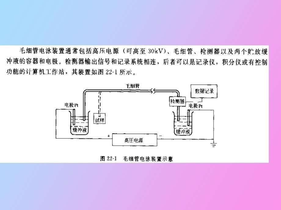 毛细管电泳分离技术_第5页