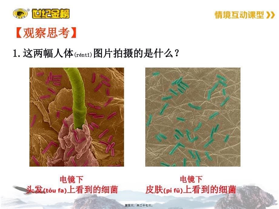 医学专题—第二节--细菌4074_第5页