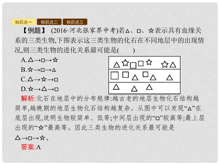 八年级生物下册 5.1.2 生物进化的证据课件 （新版）济南版_第4页