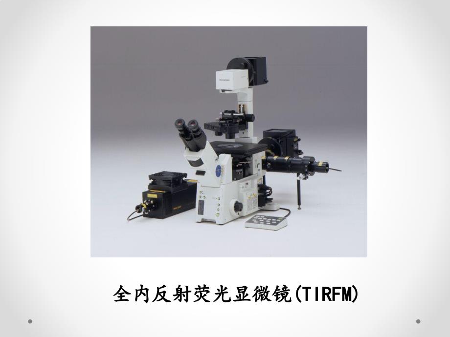 全内反射荧光成像基本原理_第2页