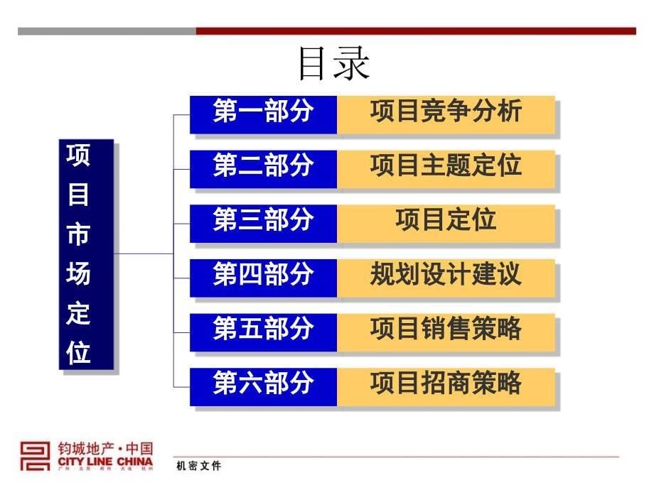 商丘天伦国际广场项目定位及营销方案-PPT_第5页