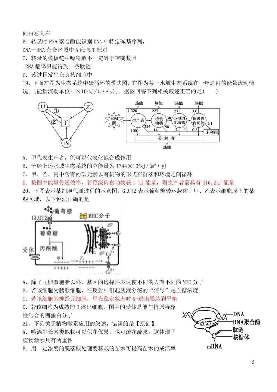 江西省铅山一中2015届高三生物一轮复习精选题综合训练_第5页