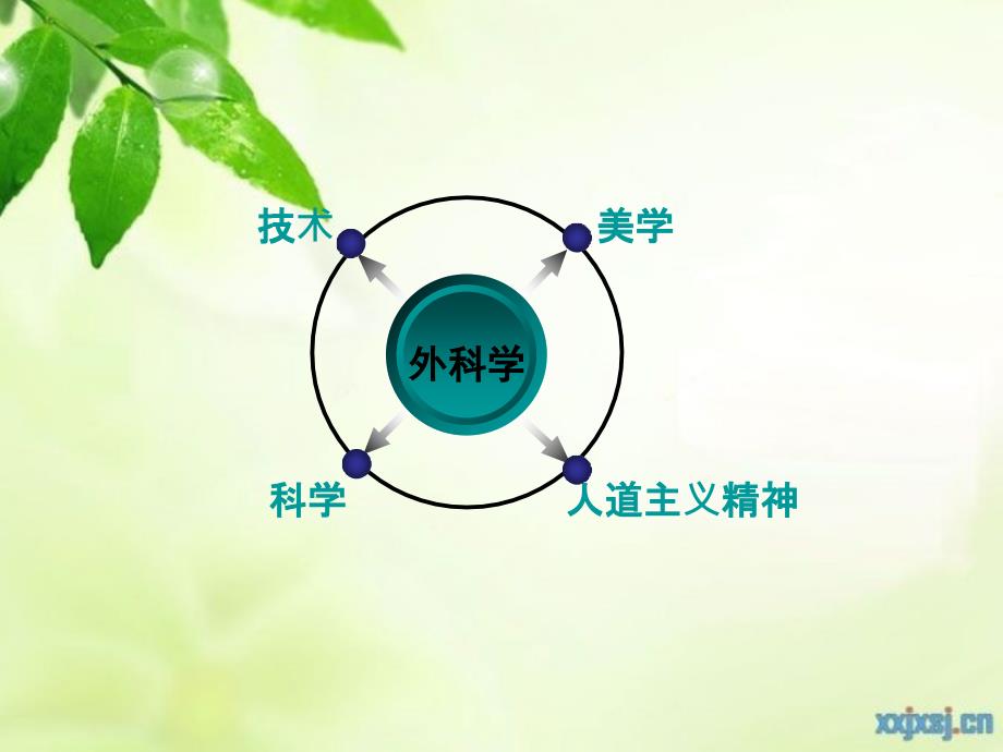 外科学进展与发展史_第4页