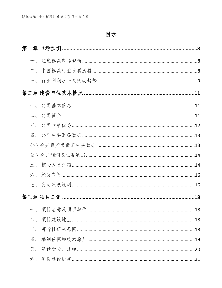 汕头精密注塑模具项目实施方案【模板参考】_第1页