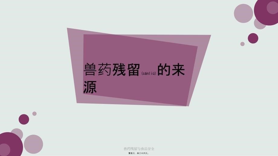 兽药残留与食品安全课件_第5页