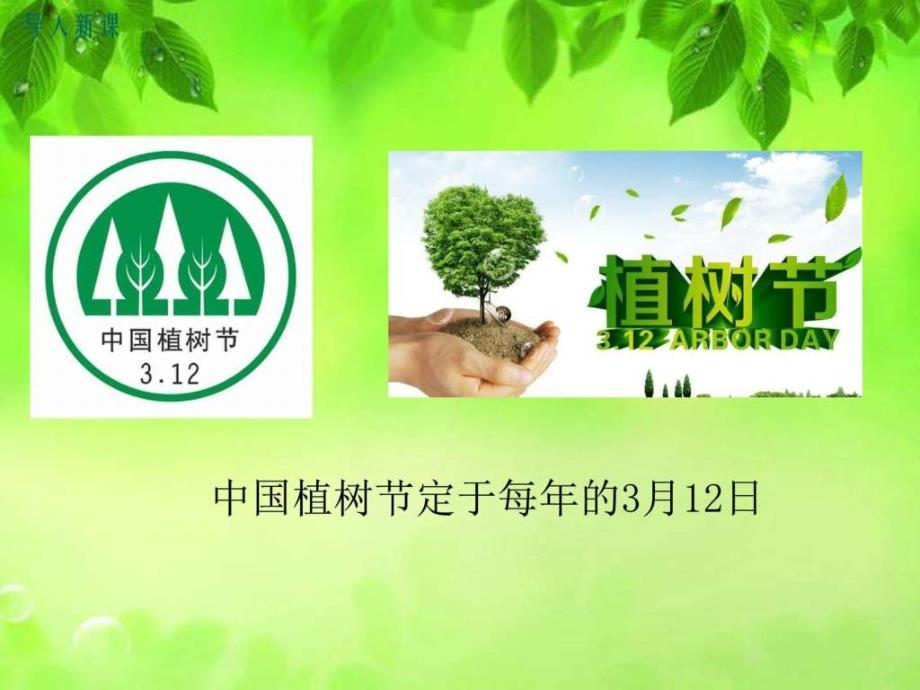 植树的牧羊人初一语文语文初中教育教育专区1525144547.ppt_第2页