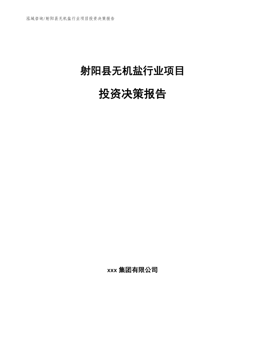 射阳县无机盐行业项目投资决策报告【范文参考】_第1页