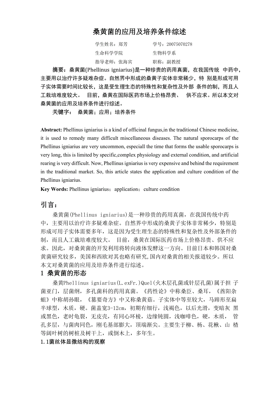 桑黄菌的应用及培养条件_第1页