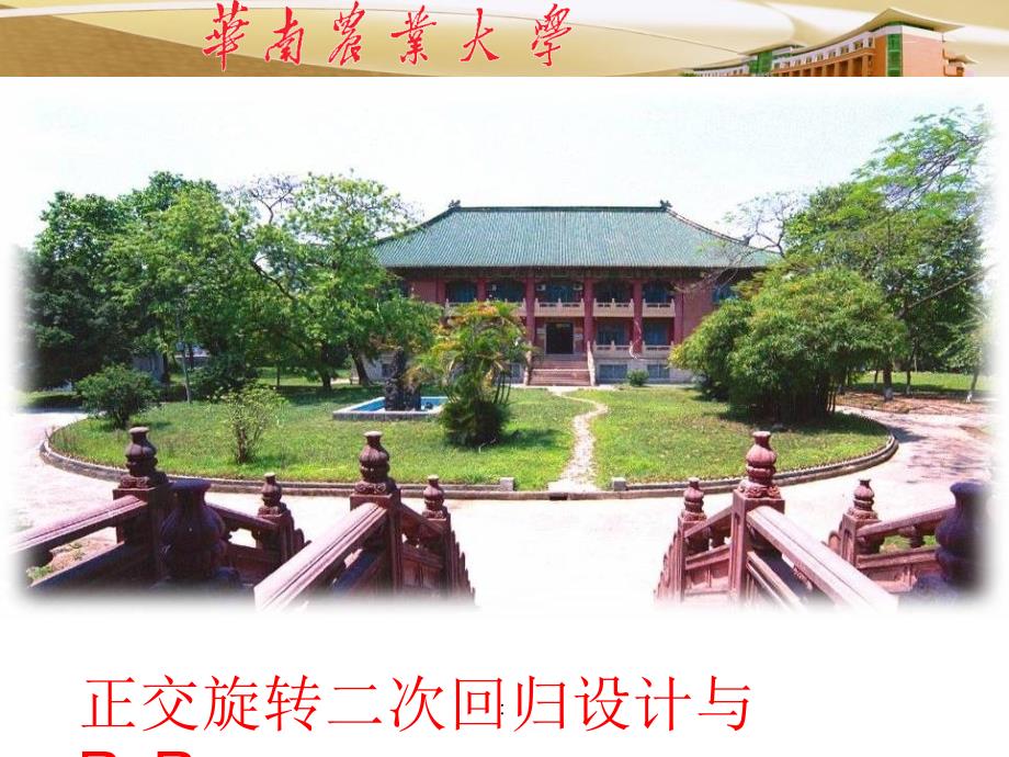 二次回归与RSREGppt课件_第1页