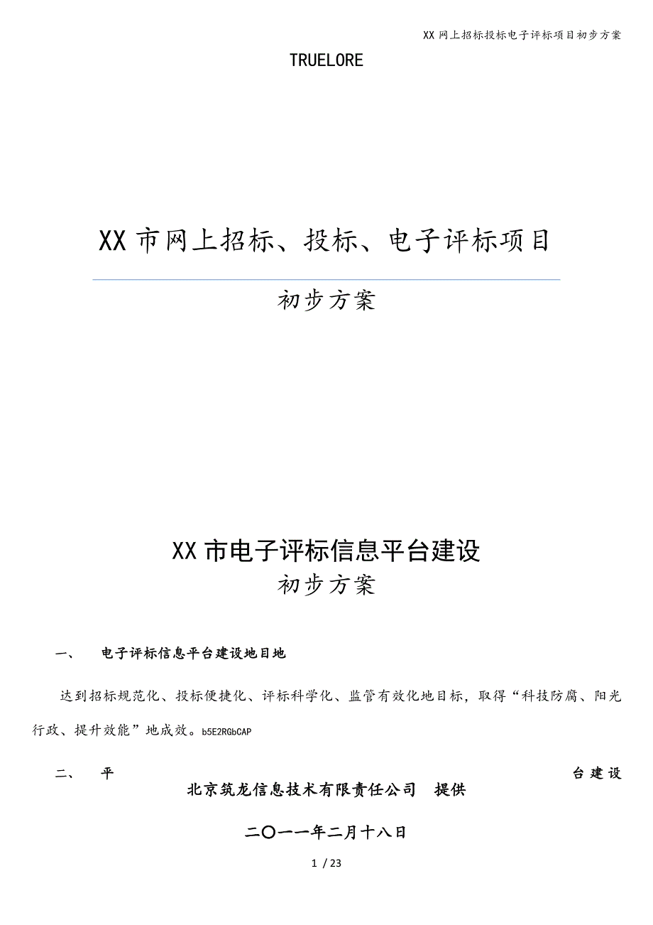 XX网上招标投标电子评标项目初步方案.doc_第1页