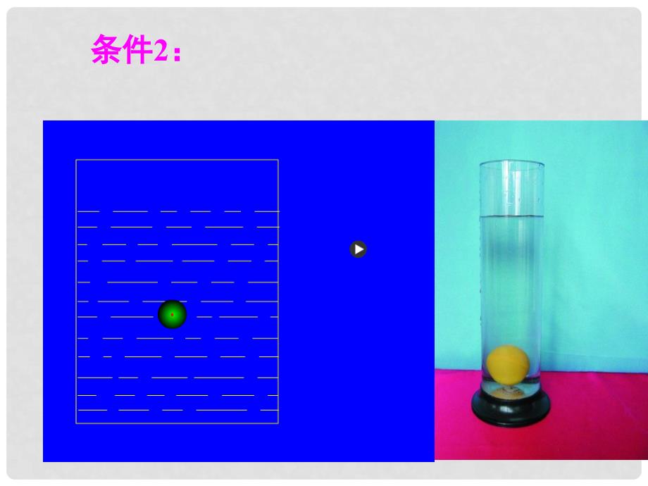 八年级科学上册 第一章 水和水的溶液 第3节 水的浮力 水的浮力课件 浙教版_第4页