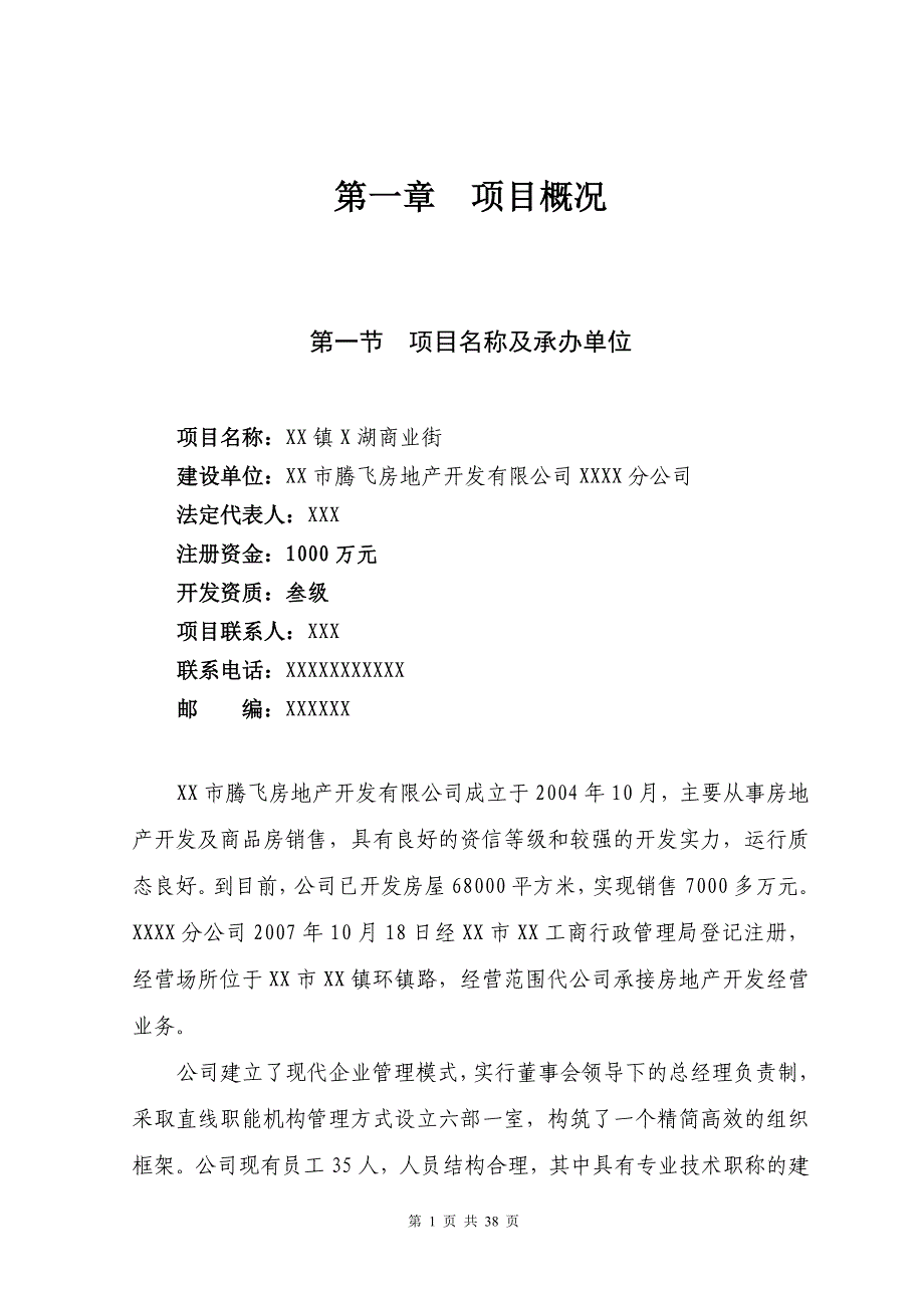 XX镇商业街项目申请报告.doc_第1页