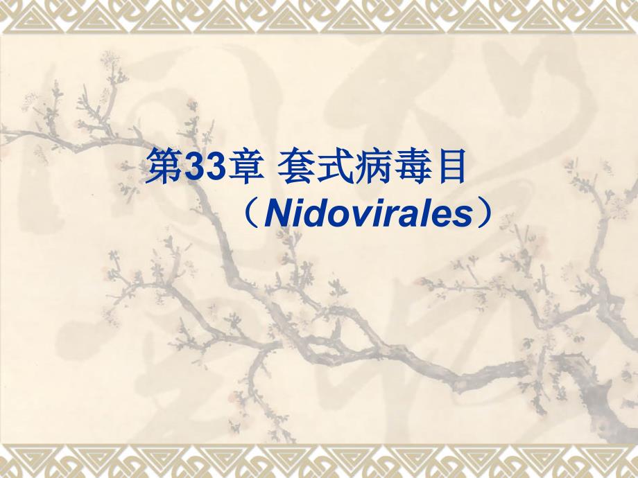 兽医微生物学教学课件18.套式病毒_第1页