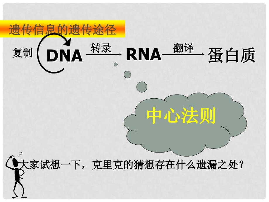 陕西地区高中生物复习资料 4.2《基因对性状的控制》（一）课件 新人教版必修2_第4页