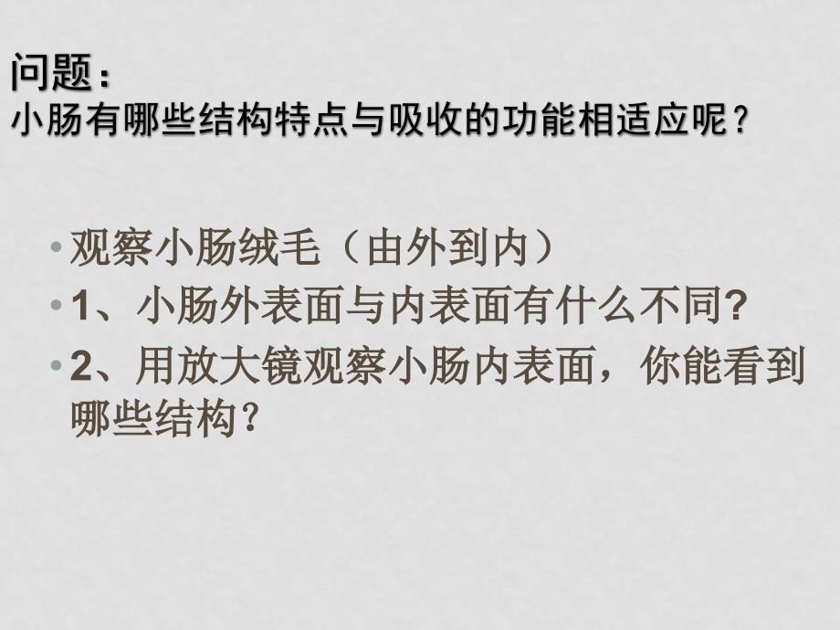 七年级生物下册8.2 食物的消化和营养物质的吸收（课件3）北师大版_第3页