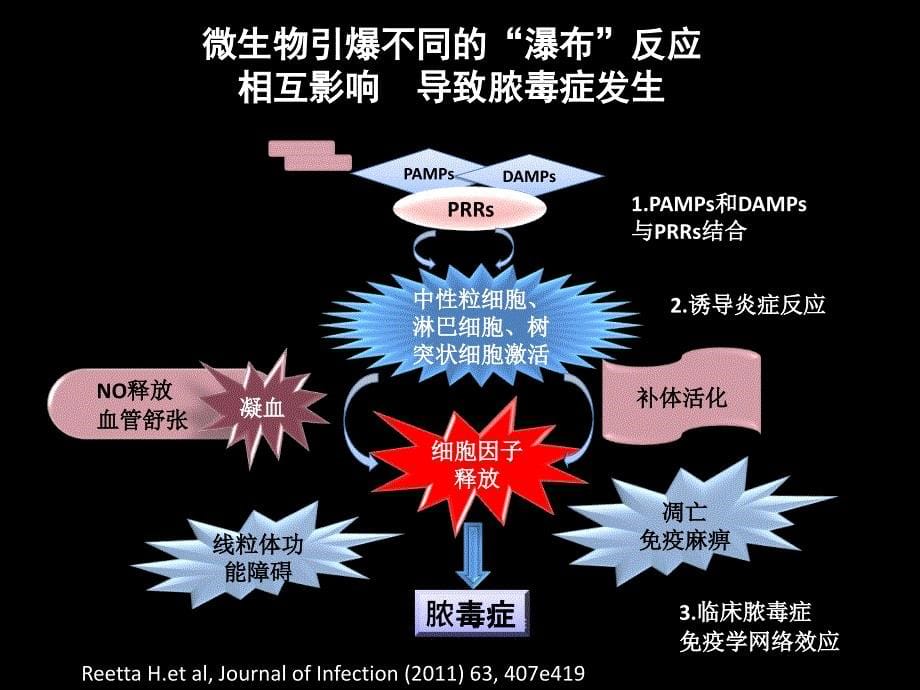 SSC指南进展解读_第5页