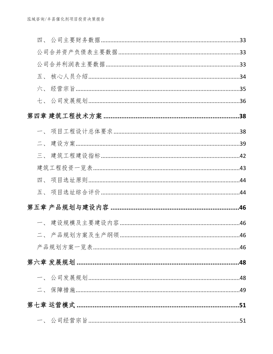 丰县催化剂项目投资决策报告_模板_第2页