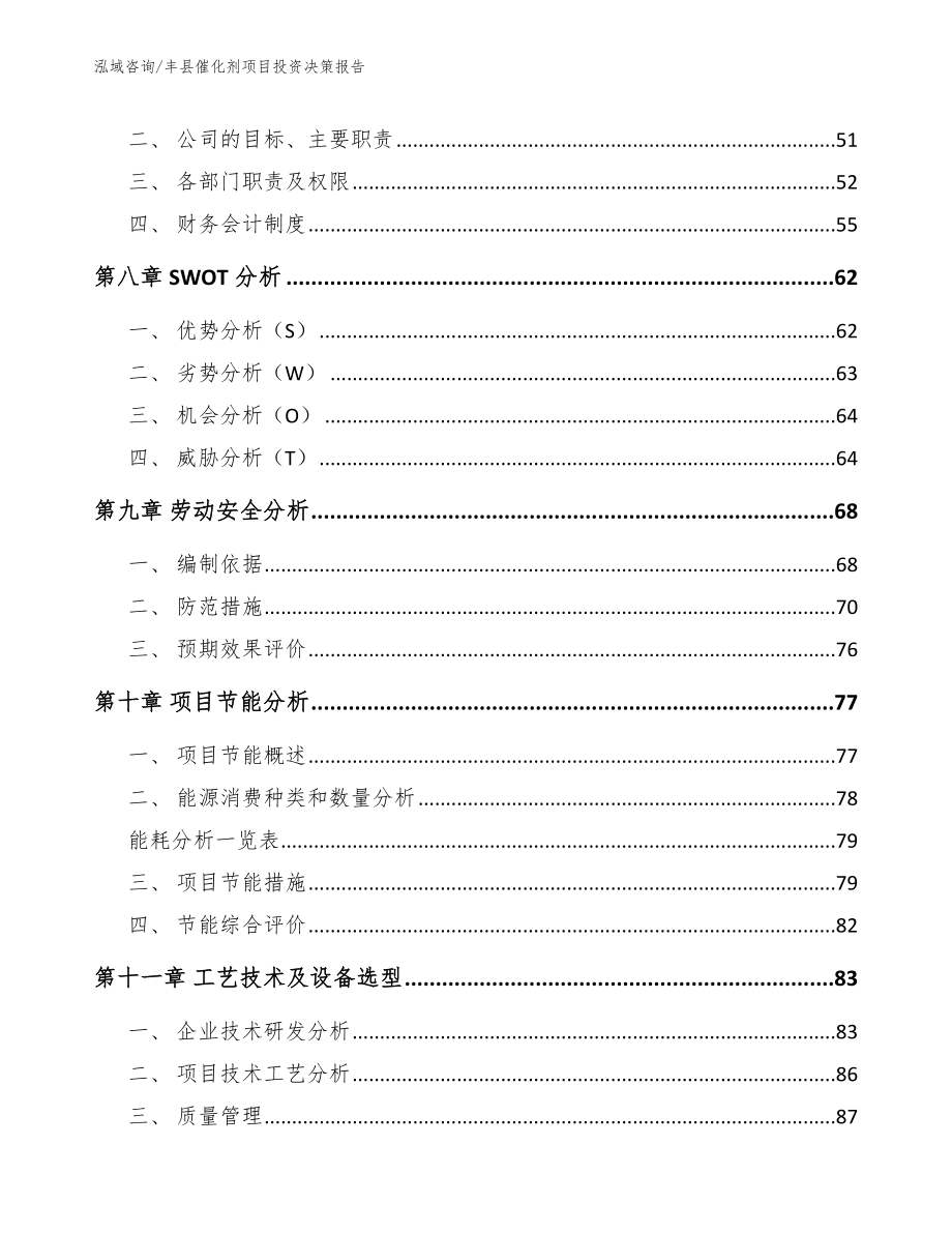 丰县催化剂项目投资决策报告_模板_第3页