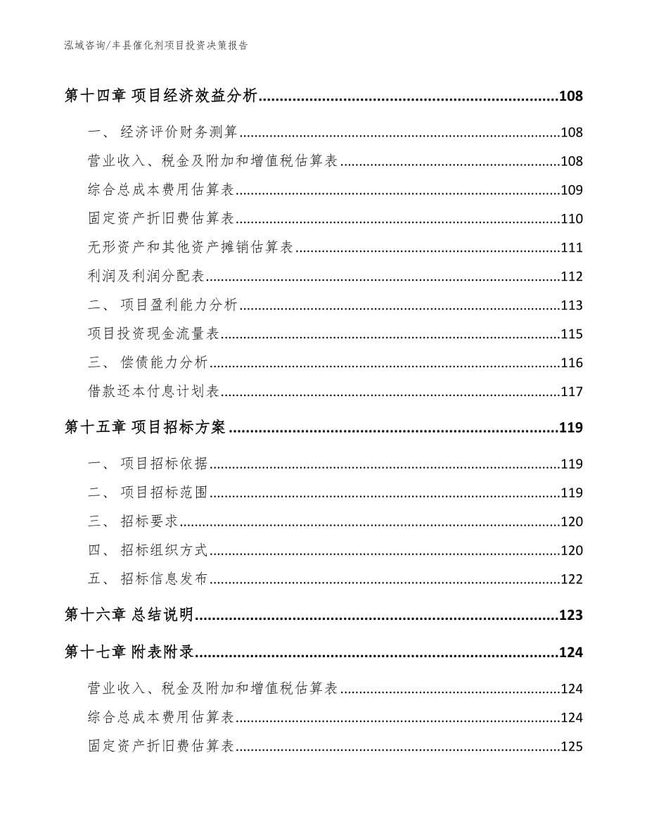 丰县催化剂项目投资决策报告_模板_第5页