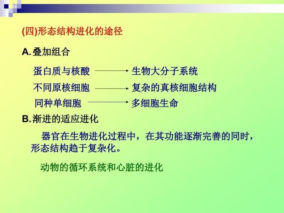 进化生物学：第5章 生物表型的进化_第5页