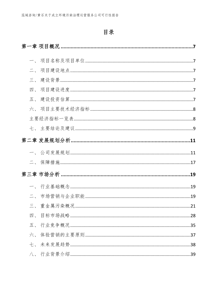 黄石关于成立环境污染治理运营服务公司可行性报告范文_第1页