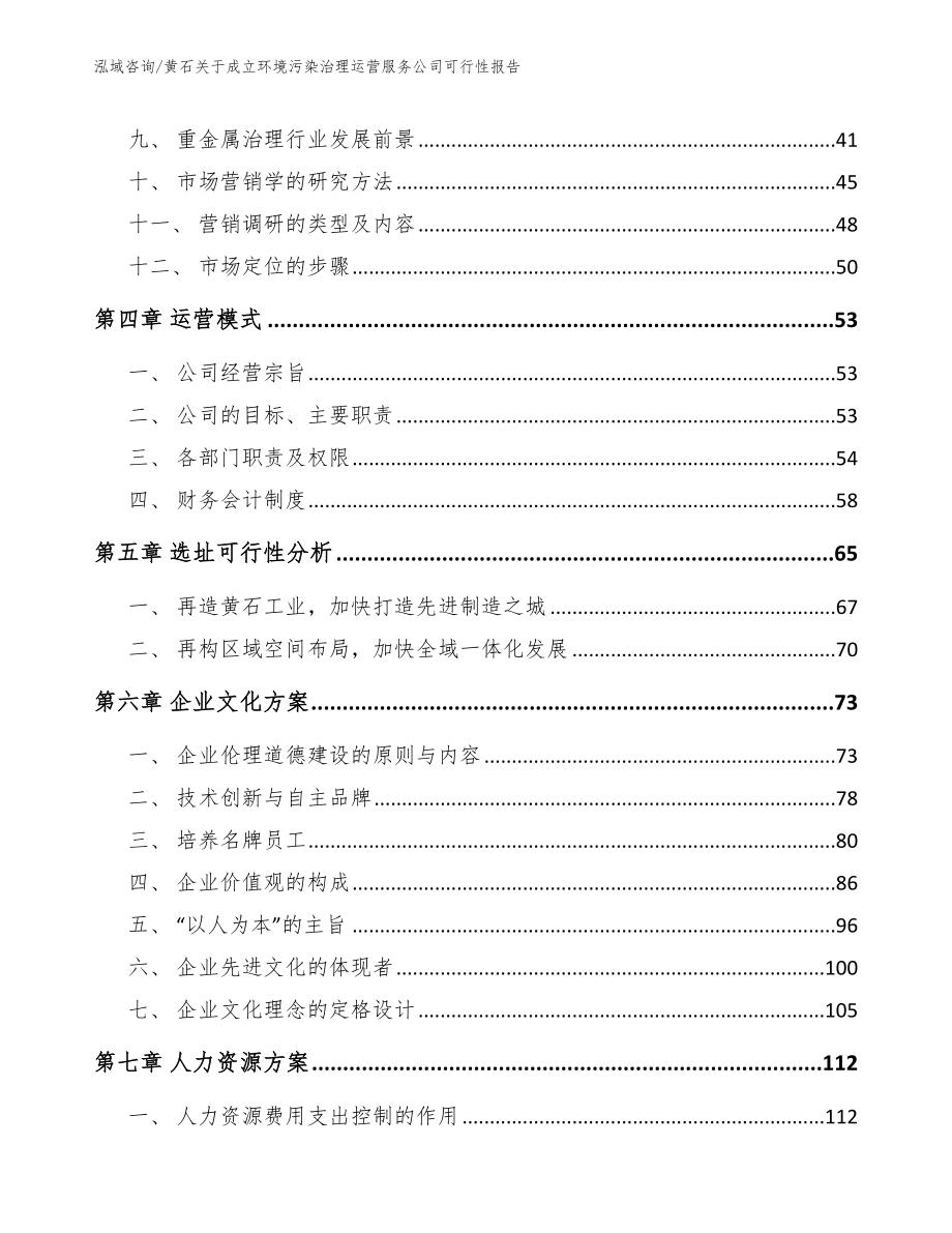 黄石关于成立环境污染治理运营服务公司可行性报告范文_第2页