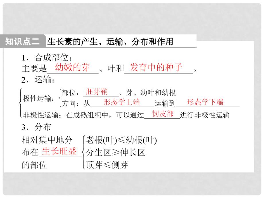 高考生物一轮总复习 1.5 植物的激素调节课件 新人教版必修3_第4页