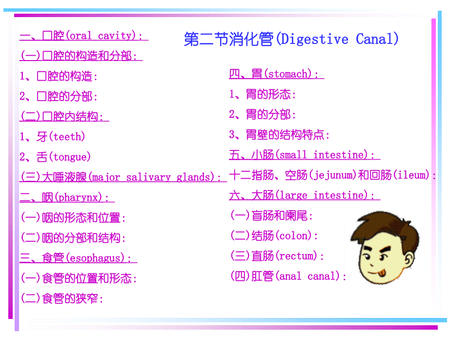 本科消化系统_第2页