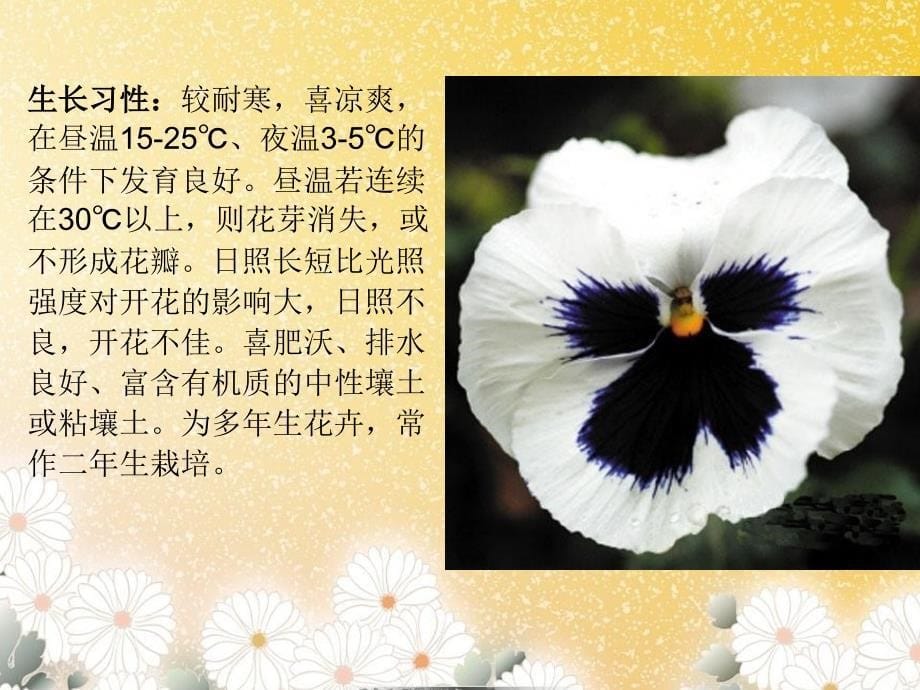 花卉学实习植物PPT课件_第5页